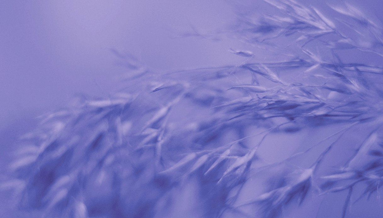 #trends #pantone#beauty colore pantone